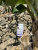 Magnesium YESLER B6 (МАГНИЙ B6) 120 капсул Magnesium YESLER B6 (МАГНИЙ B6) 120 капсул