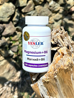 Magnesium YESLER B6 (МАГНИЙ B6) 120 капсул